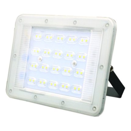 LED reflektor LRD-30-Cormel-FORMA