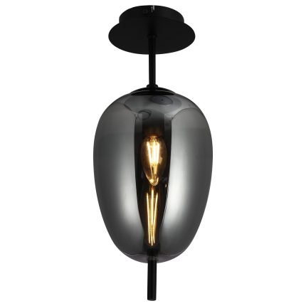Plafonska lampa F4014-1C BK+SM - Cormel-FORMA
