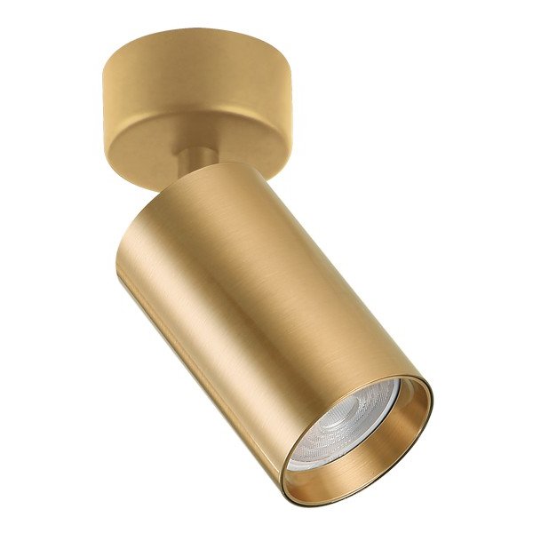 Plafonska lampa AFS121-1C SG-Cormel-FORMA Plafonska lampa AFS121-1C SG-Cormel-FORMA