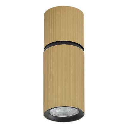 Plafonska lampa AFS117-1C SG-Cormel-FORMA