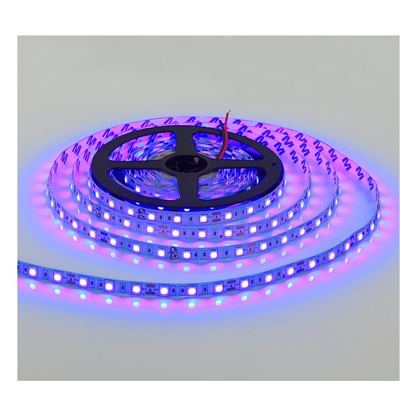 LED traka LTB5050-60-B IP20 BL-Cormel-FORMA LED traka LTB5050-60-B IP20 BL-Cormel-FORMA